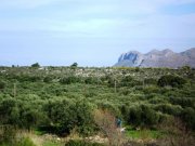 Kounoupidiana Grundstück auf Kreta zum Verkauf: Gesuchte Wohngegend auf der Halbinsel Akrotiri Grundstück kaufen